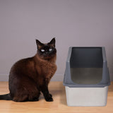 ZNTS XXL Stainless Steel Cat Litter Box with Lid, Extra Large Litter Pan with High Sides, Easy Cleaning, 13774354