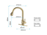 Kitchen Faucet with Pull Out Spraye 58556290