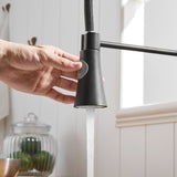 Commercial Black Kitchen with Pull Down Sprayer, Single Handle Single Lever Kitchen Sink W1932P172271