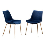 Aufurr Modern Velvet Dining Chair, Set of 2, Blue T2574P164537