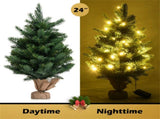 24 Inch Christmas Tree with LED Lights 42717521