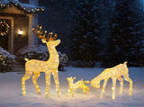 3-Piece Lighted Christmas Reindeer Family Set Outdoor Decorations, Weather Proof Deer Family Set of 49296917