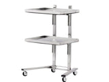 2 Tier Beauty Salon SPA Rolling Cart with Double Storage Tray Stainless Steel 02610336