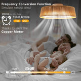 (Same as W1340137055/L10003) Bohemian style LED Dimmable Ceiling Light With Built-In Fan - Remote W1340P209774