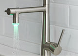 Heavy Duty Commercial Style LEDKitchen Sink Faucet, Single Handle Pre-Rinse Spring Sprayer Kitchen W1932P172301