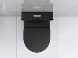 Matte Black Elongated One Piece Toilet Dual Flush 1.1/1.6 GPF Water Saving Map 1000g,Matte Black W2826P192009