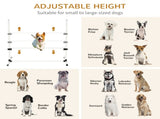 Dog agility training equipment 40236129