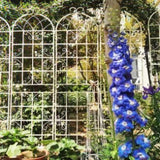 2 Pack Metal Garden Trellis 86.7" x 19.7" Rustproof Trellis for Climbing Plants Outdoor Flower W1586104502