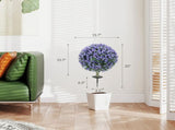 Artificial Plant/Green plants 06327624