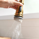 Gold Faucet with Pull Out Sprayer Brushed Gold Single Handle 1 Hole High Arc Pull Out W1932124131