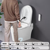 ZNTS Smart Toilet Bidet Combo with Foot Sensor Open Cover/Seat, LED Display, Self-Cleaning Nozzle, Heated W1219P262970