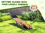 Dog Agility Ramp Pet Seesaw 76685612
