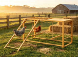 Chicken Activity Play/ Chicken Coop Toy 72112358