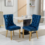 A&A Furniture,Nikki Collection Modern, High-end Tufted Solid Wood Contemporary Velvet Upholstered W1143P151485