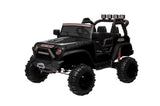 ZNTS 24V 9Ah Ride on Toy for Big Kids, 2-Seater Powered Ride-on Truck Car with Remote,black W2058P203308