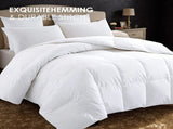 Four-pack of 100% polyester brushed single quilted comforters with microfiber filling, a down 10760096