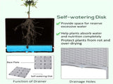 PieceRaised Garden Bed with 72452907