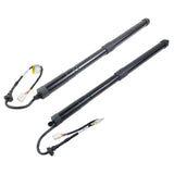 2PCS Rear Power Liftgate Tailgate Lift Support for Toyota RAV4 Prime 2019-2021 71766552