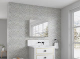24'' W x 26'' H Surface Frameless Mirror Medicine Beveled Mirror Edges Bathroom Medicine W2287P250732