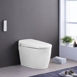 ZNTS Smart Toilet Bidet Combo with Self-Cleaning Nozzle, Heated Seat, Night Light, Knob Control, Power W1219P262872