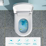 ZNTS Smart Toilet with Bidet Built in, Auto Open & Close, Elongated Heated seat, Foot Sensor Flush, LED W1243P203359