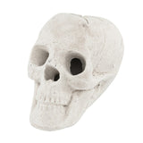Halloween Decoration Beige 91381057