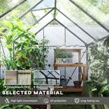 Walk-in Tunnel Greenhouse 56593816