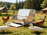 Automatic Chicken Feeder 23804863