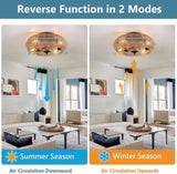 Rattan Ceiling Fan with 5 Bulbs W2738P242331