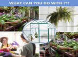 Green-6 x 8 FT Outdoor Patio Greenhouse 89381651
