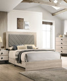 ZNTS Contemporary Cream Finish Queen Size Bed Bedroom Furniture Gray V-Design Headboard Rubberwood B011P236815