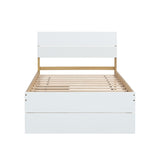 Modern Twin Bed Frame With 2 Drawers For White High Gloss Headboard and Footboard With Light Oak W697131330