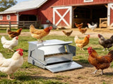 Automatic Chicken Feeder 27548612