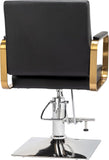 Salon Chair Styling Barber Chair, Beauty Salon Spa Equipment with Heavy Duty Hydraulic Pump, 91614347