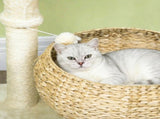 Flower Cat Tree 51463218