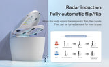 Smart Toilets with Heated Bidet Seat.Portable toilet with bidet built.Intelligent Toilet Auto W3133P256590