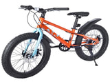 20 Inch Kids Bicycles , Fat Tire Mountain Bike for Boys and Girls Age 5 Years ,7-Speed Dual-Disc W1019P203873