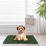 Large Pet Urine Mat - Two Pack W2181P160609
