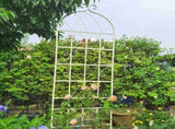 2 Pack Metal Garden Trellis 86.7" x 19.7" Rustproof Trellis for Climbing Plants Outdoor Flower 30907319