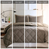 Full/Queen 3M Scotchgard Diamond Quilting Reversible Down Alternative Comforter Set B03595019