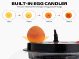 US 12 Egg Incubator with Automatic Egg Turning, Temperature and humidity Control,Auto Water 95368419