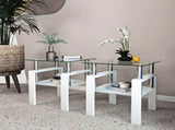 Set of 2, Modern Tempered Glass Tea Table Coffee Table End Table, Square Table for Living Room, 28812852