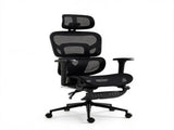 Ergonomic Mesh Office Chair with Lumbar Support, 2D Headrest & Retractable Footrest, Reclining 38412465