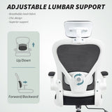Office Chair/Massage Office Chair 04203466