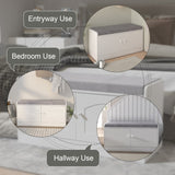 Shoe Storage Bench with 2 Door Cabinet, Entryway Bench with Shoe Storage, Shoe Bench with Cushion, W760P206351