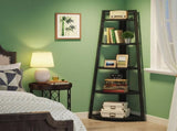 Shelf Book/Storage Cabinet 33579884