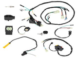 Ignition Coil CDI Regulator Wire Harness fit for Honda ATV 1999-2004 30410-HN1-003 02933948