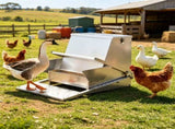 Automatic Chicken Feeder 23804863