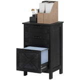 File Cabinet/ Storage cabinet 09626340