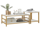 Set of 2 Coffee Tables 15825021